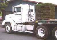 Sod Delivery in Oregon