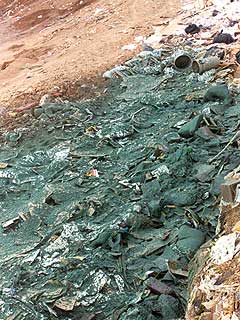 Waste-Cover Landfill Mulch